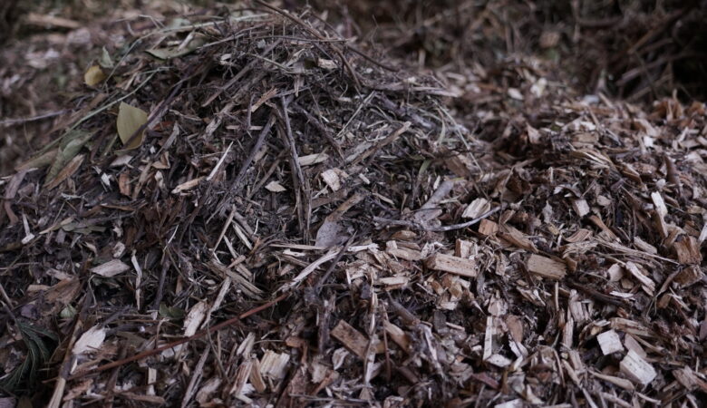 Conoce el proceso de creación de nuestro compost